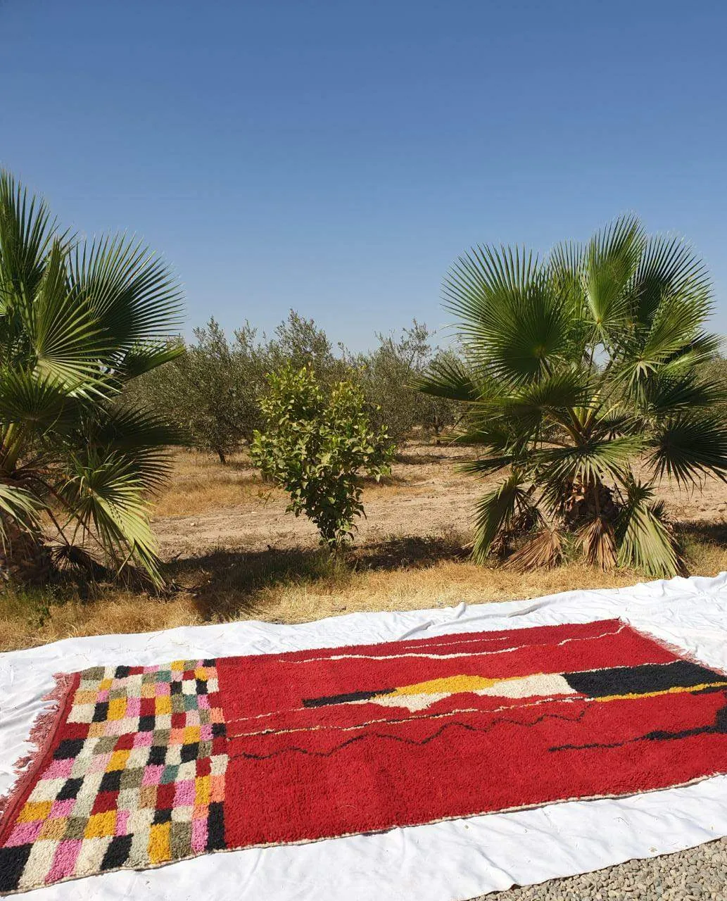 Customized HAMRA | 3x2 m | Moroccan Colorful Rug | 100% wool handmade