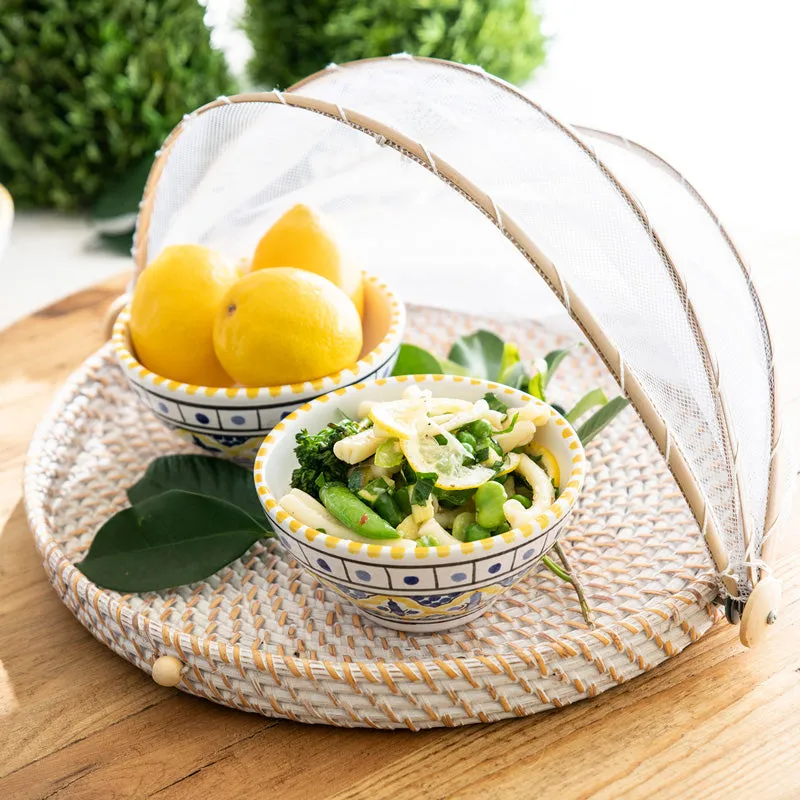 Mesh Food Cover Rattan Base 45cm