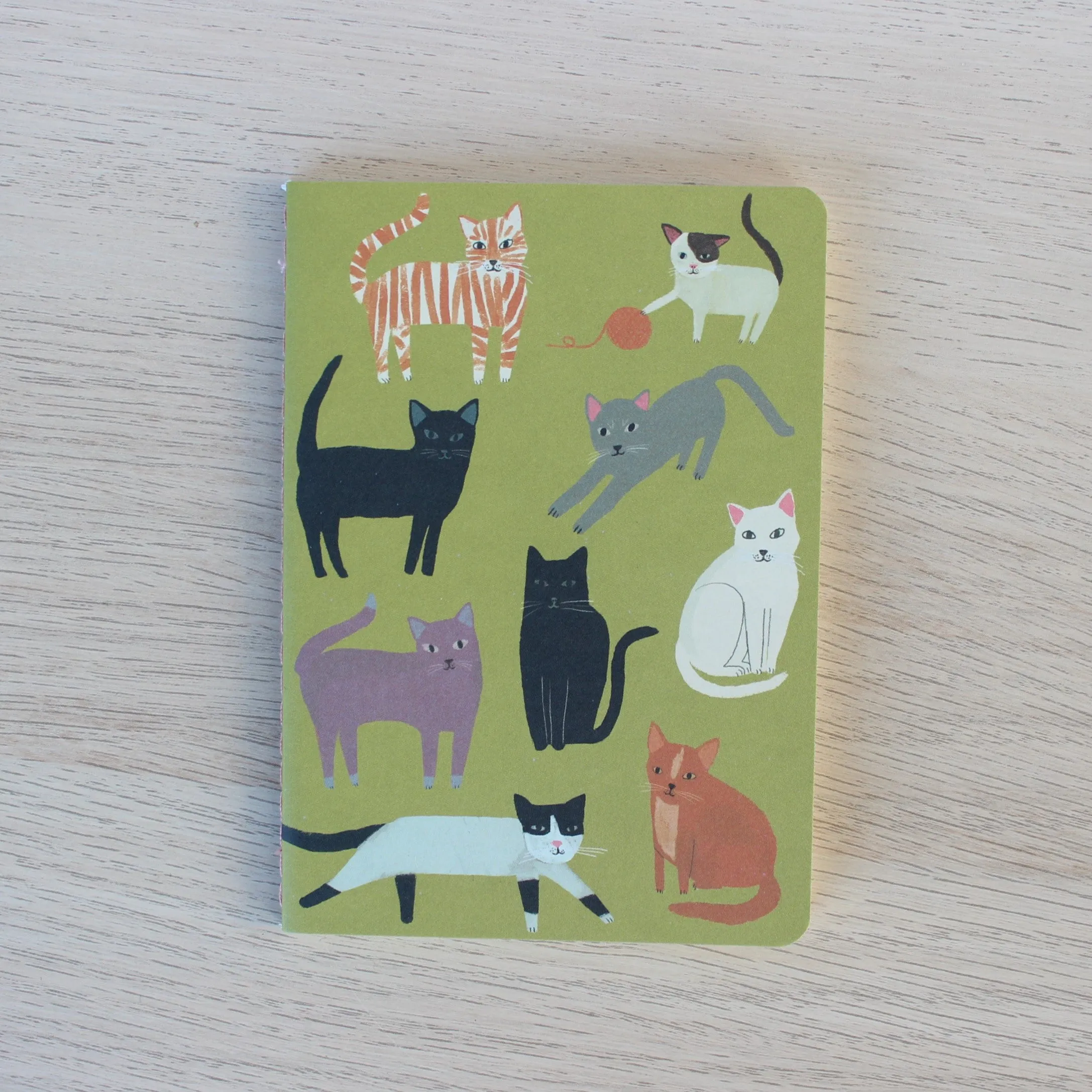Mini Notebook Trio | Cats