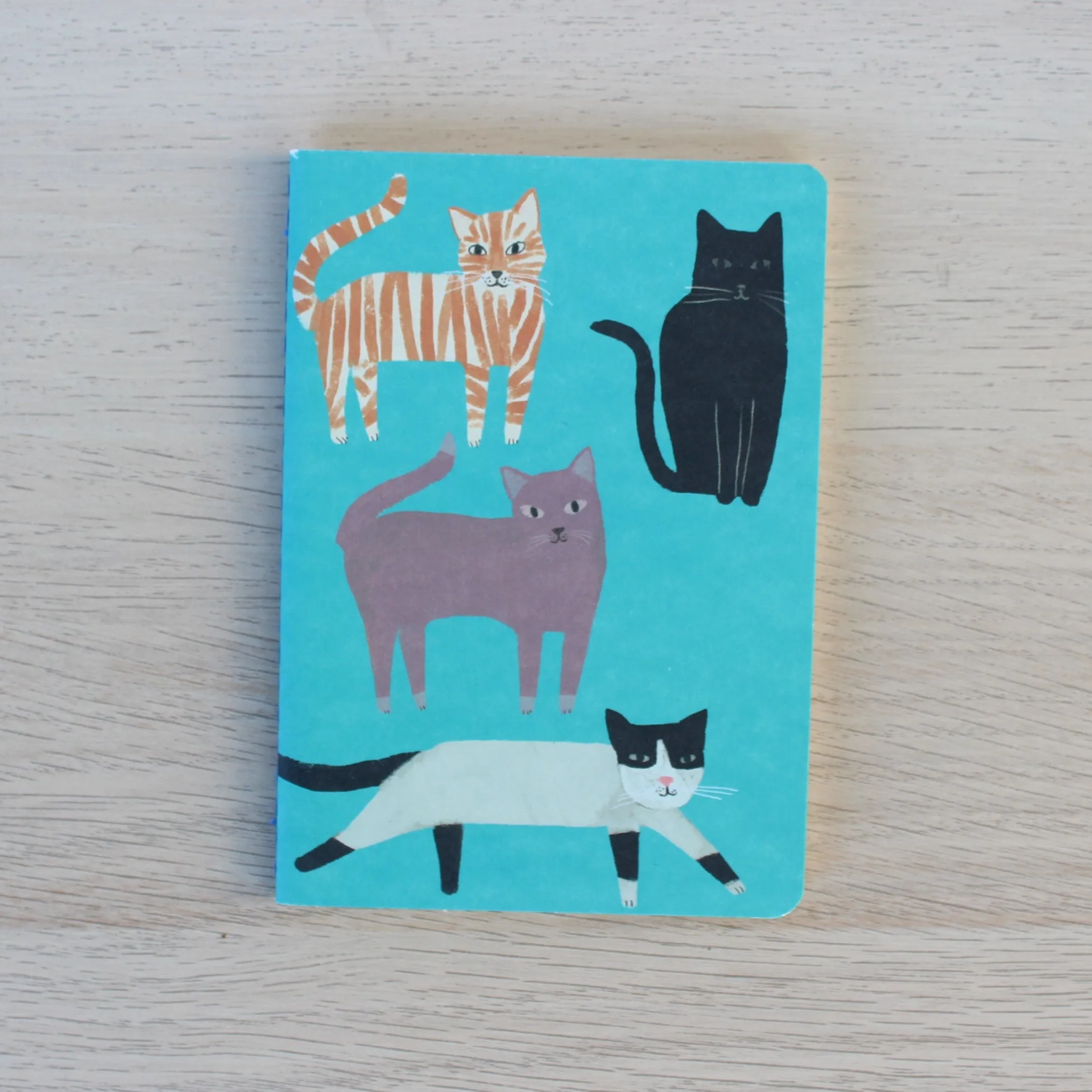 Mini Notebook Trio | Cats