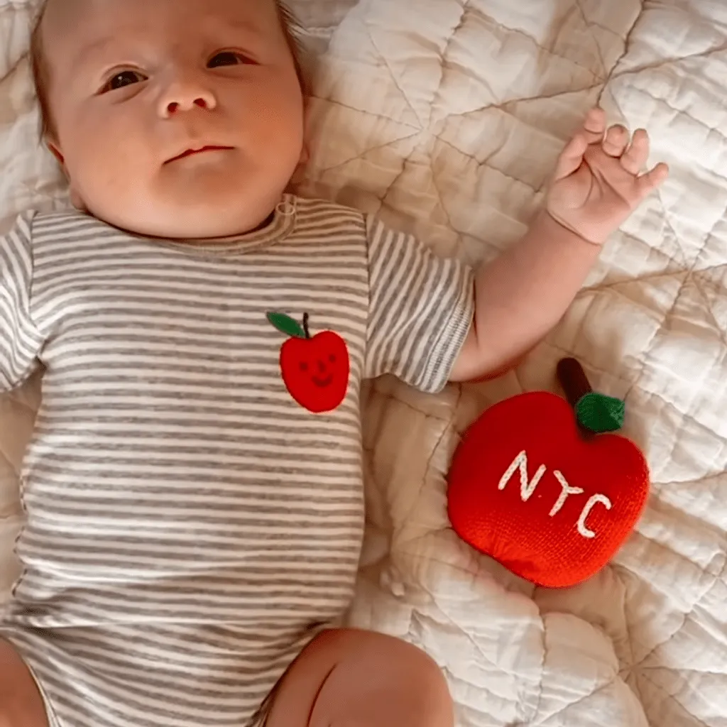 Organic Baby Gift Set, Food Onesie & Rattle