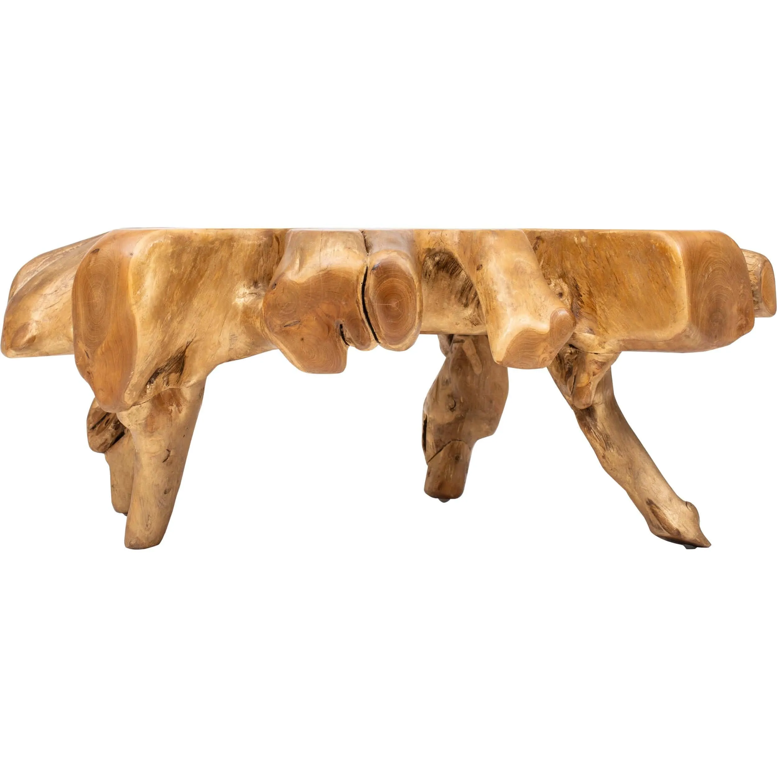 Teak Root Coffee Table