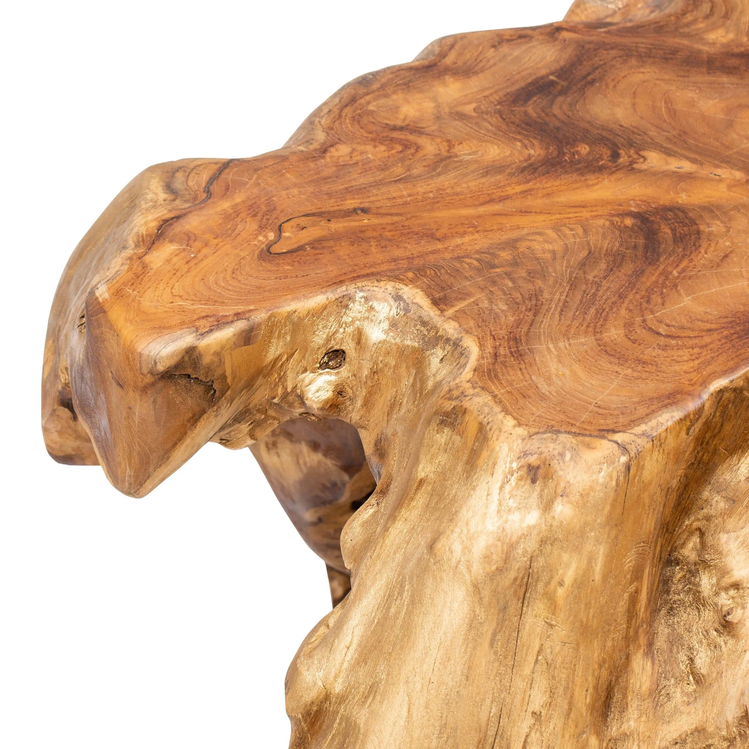 Teak Root Coffee Table