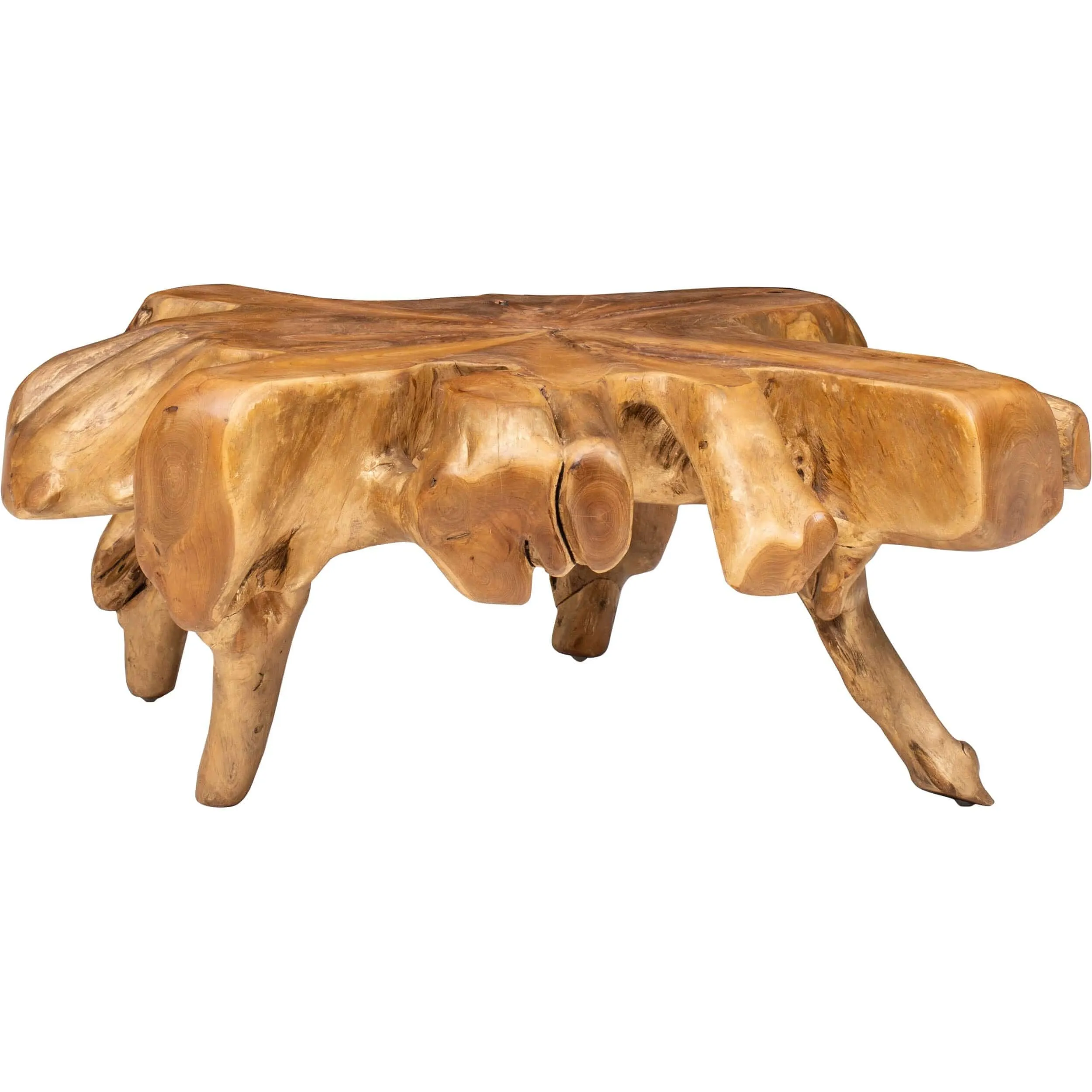 Teak Root Coffee Table