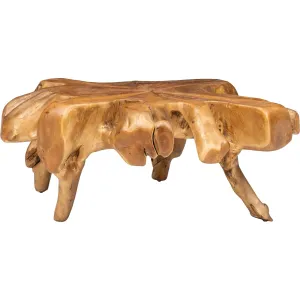 Teak Root Coffee Table